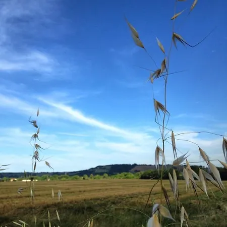 Via Marconi Casa vacanze Marotta