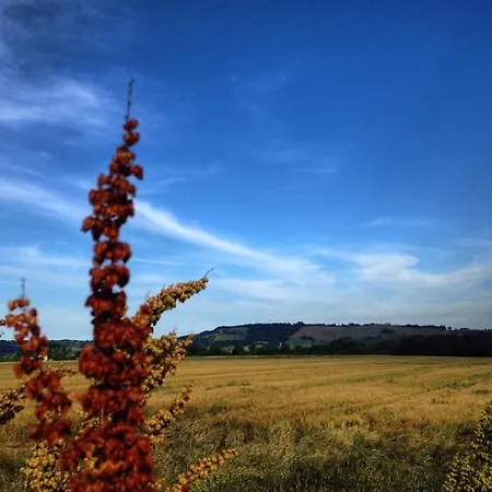 Via Marconi Marotta