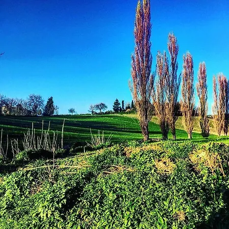 Via Marconi Marotta
